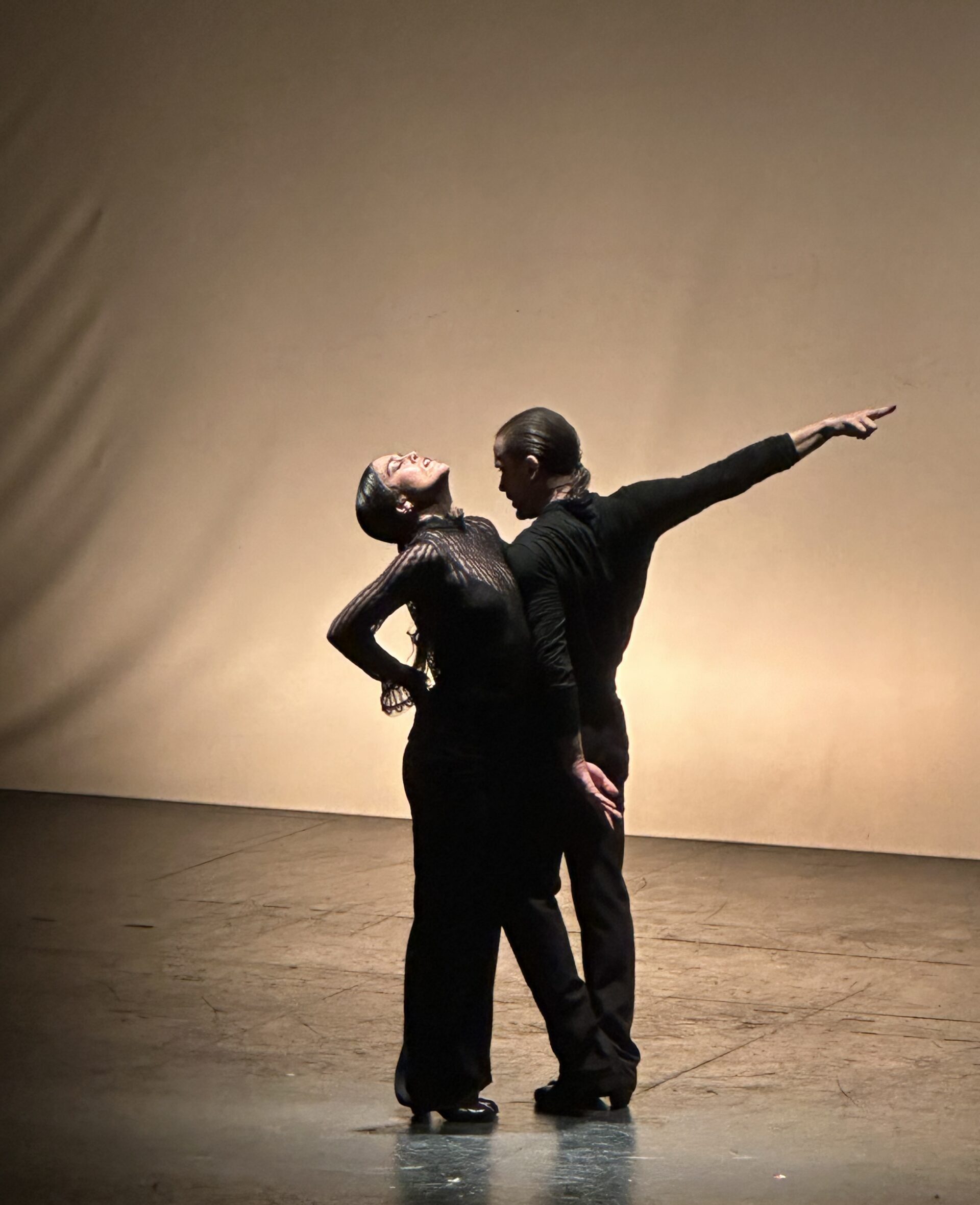 Alfonso Losa y Patricia Guerrero - Alter Ego